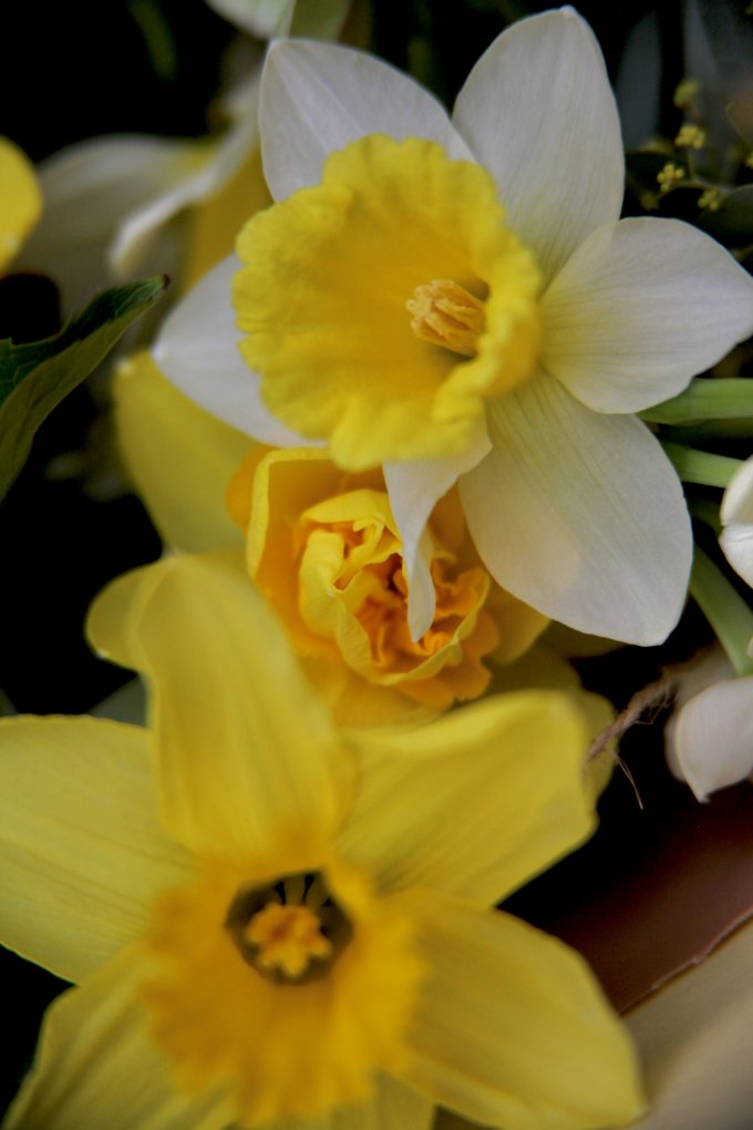 Conter fleurette photo 17